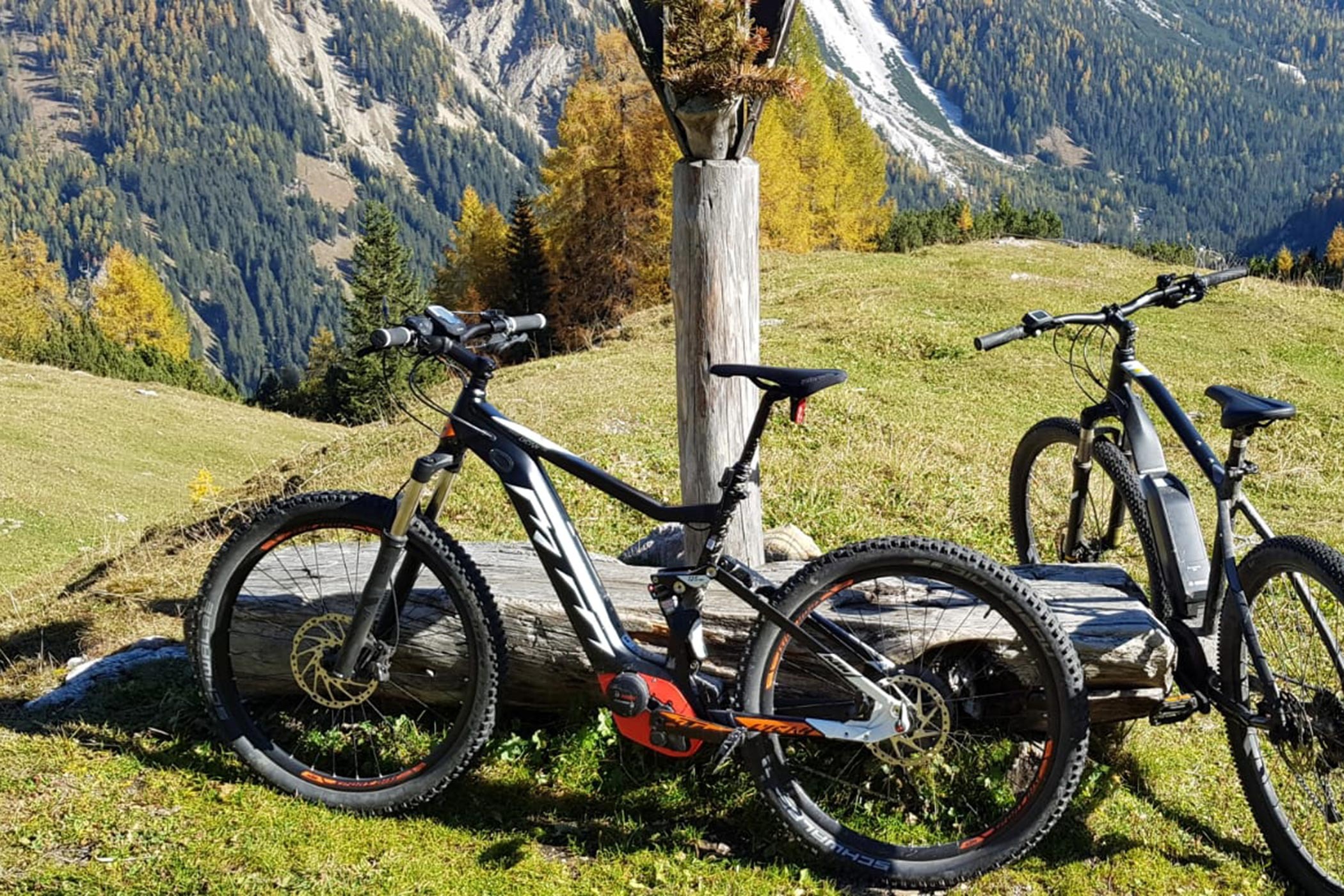 Electric mountain bike