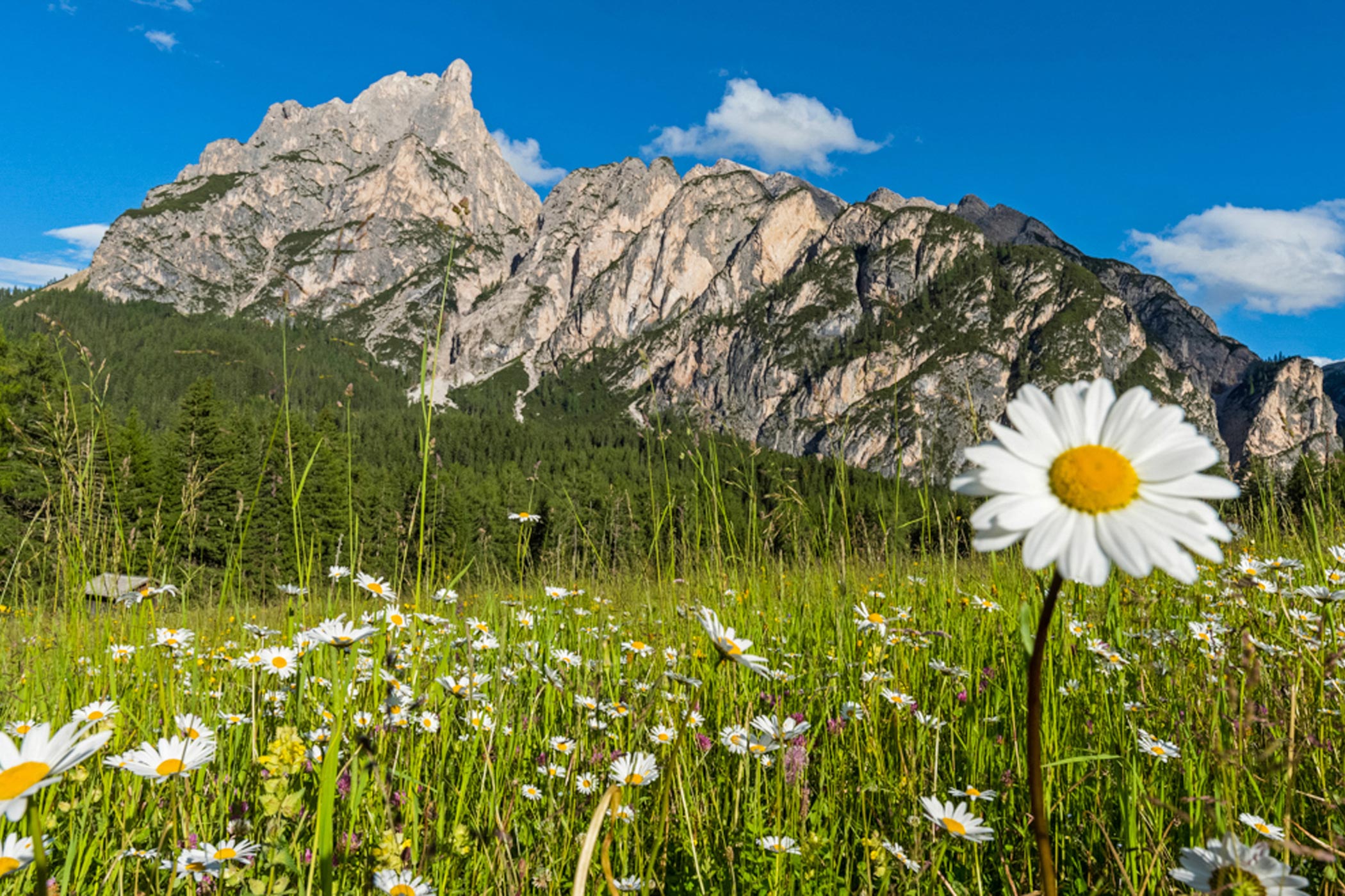 Braies in summer