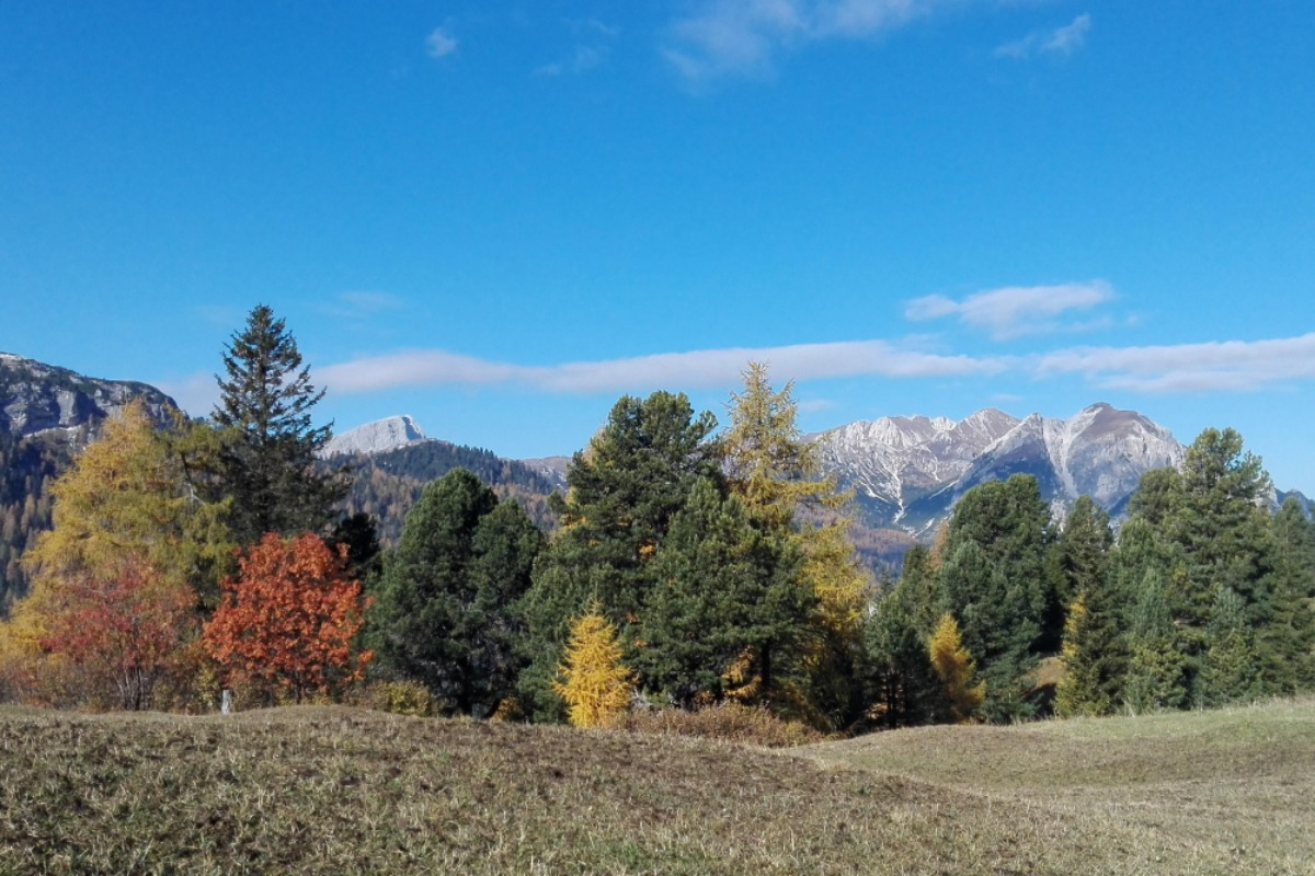 Il mio Cinema delle Dolomiti